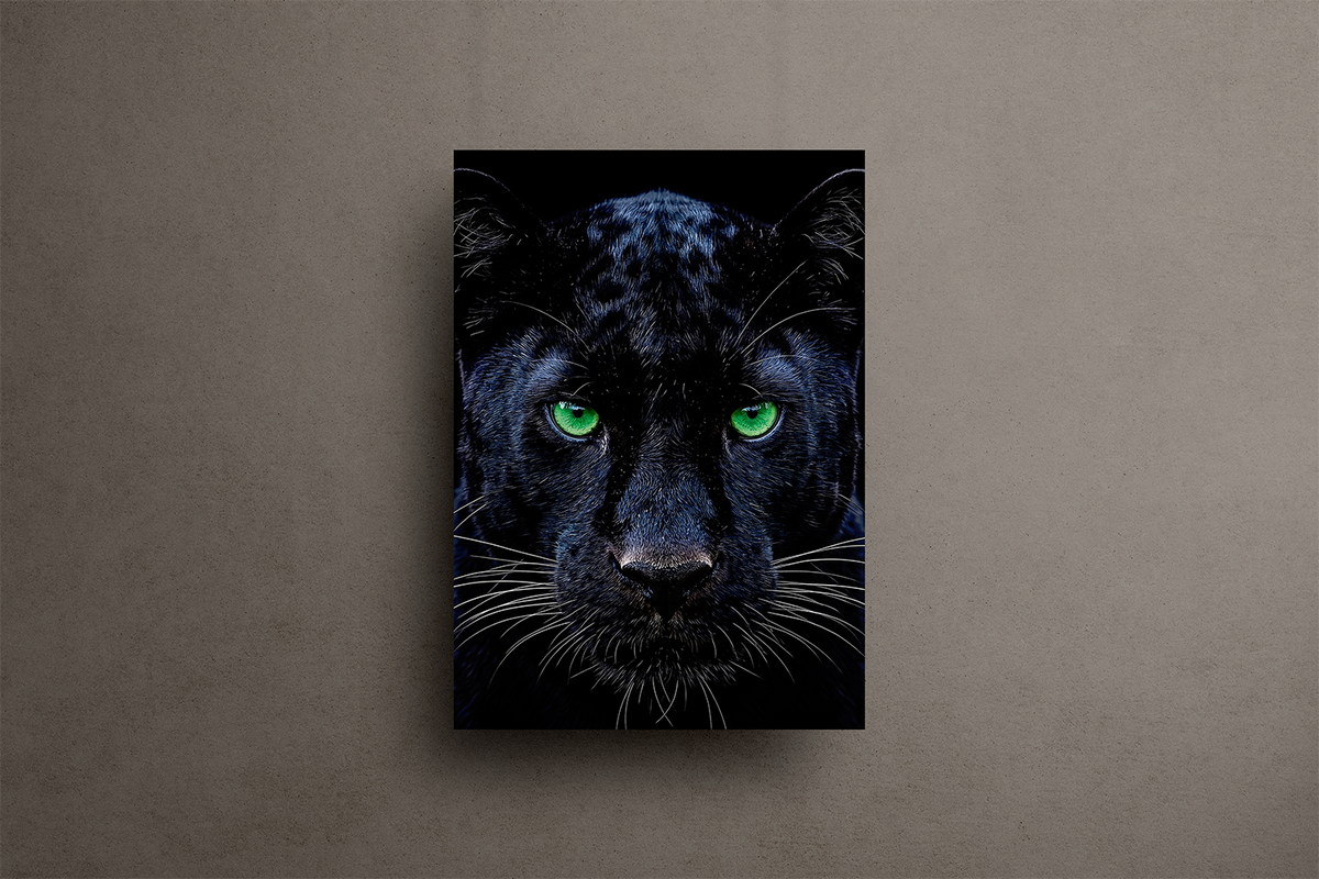 Panther Metal Poster – metal wall art view 1